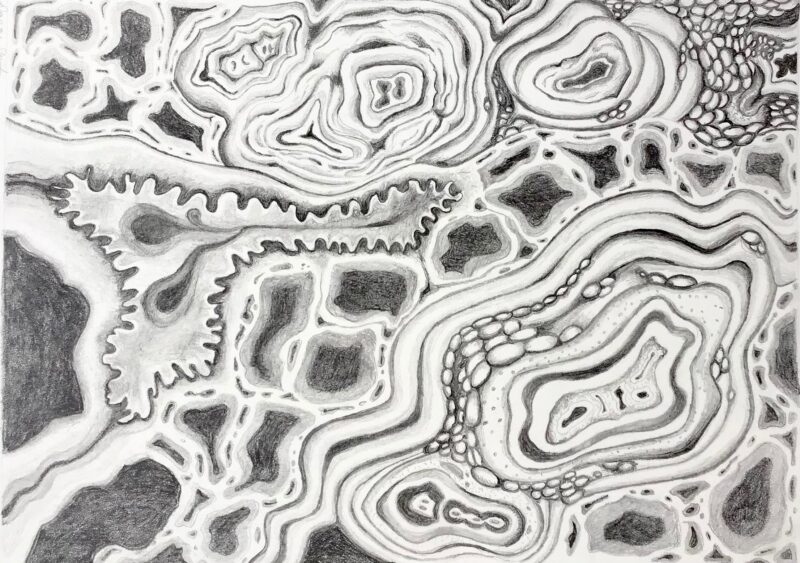 Cross Section Flow