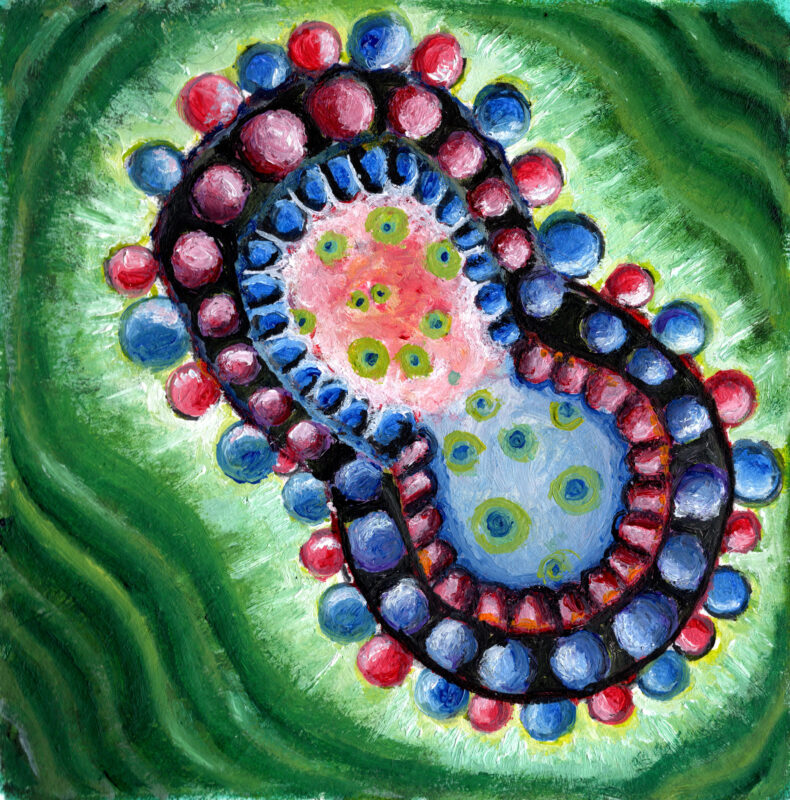 Red Blue Mutation