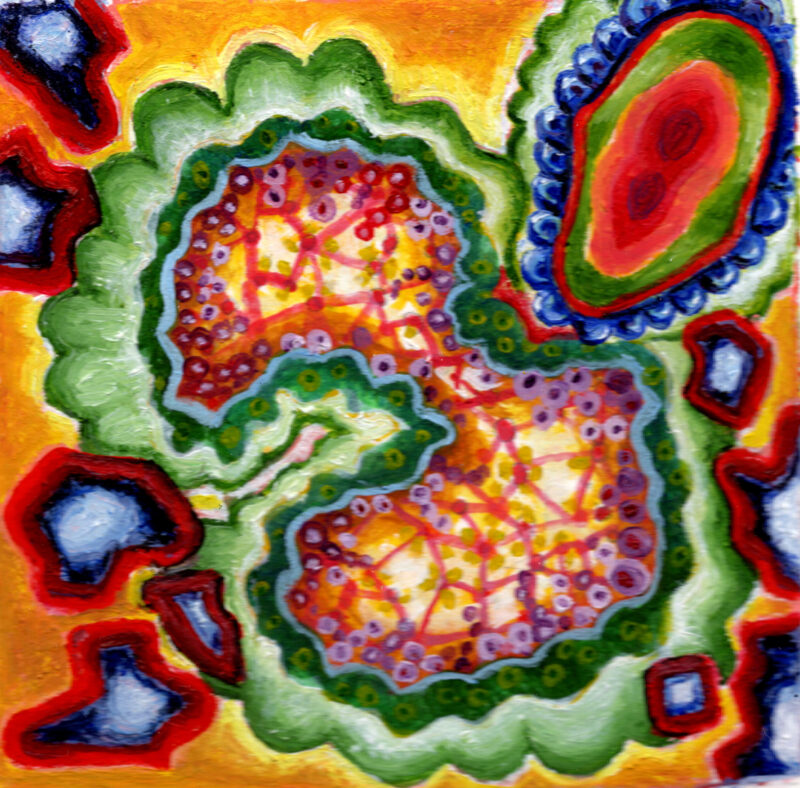 Invasive Cells
