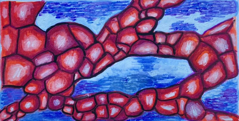 Unknown Biology