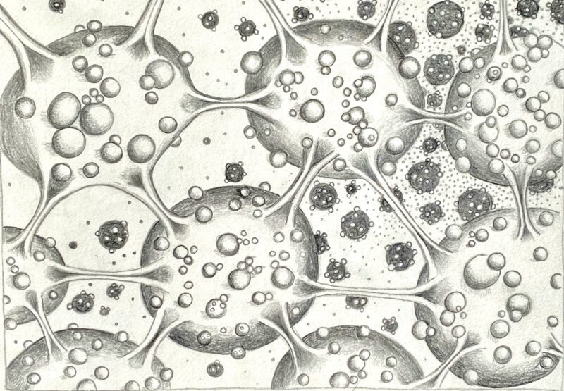 Cellular Expansion