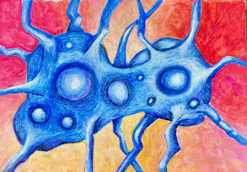 Cell Division