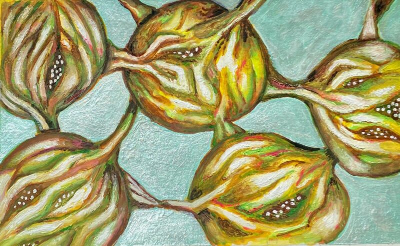Seedpod Lattice